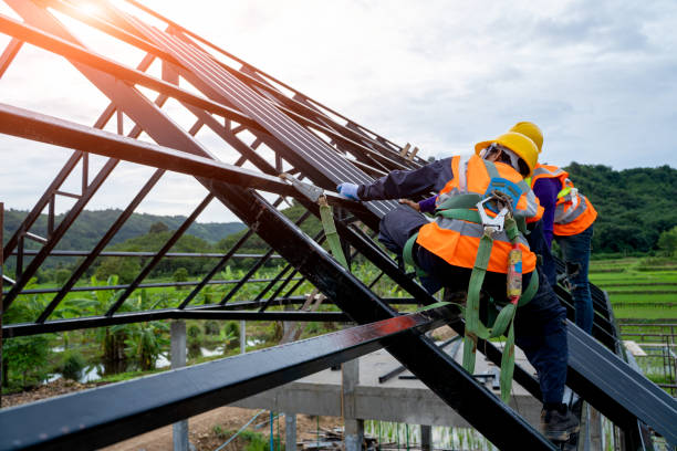 Best Roof Repair Services  in Elmwood Place, OH